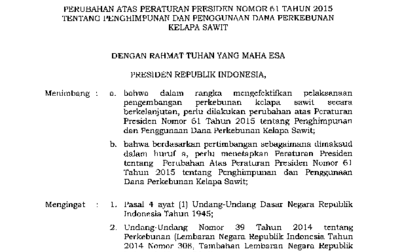 Hasil gambar untuk Pemerintah Revisi Perpres Tentang Penghimpunan dan Penggunaan Dana Kelapa Sawit